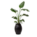 Rubber Planters with Handles